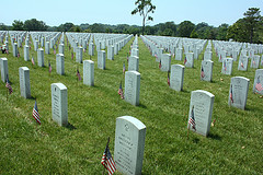 image of Arlington National Cemetery one of the Free Things and Stuff to Do in Washington DC
