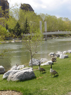 image of prince's island park one of the Free Things and Stuff to Do in Calgary