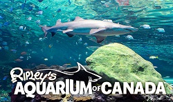 Ripleys Aquarium of Canada coupon