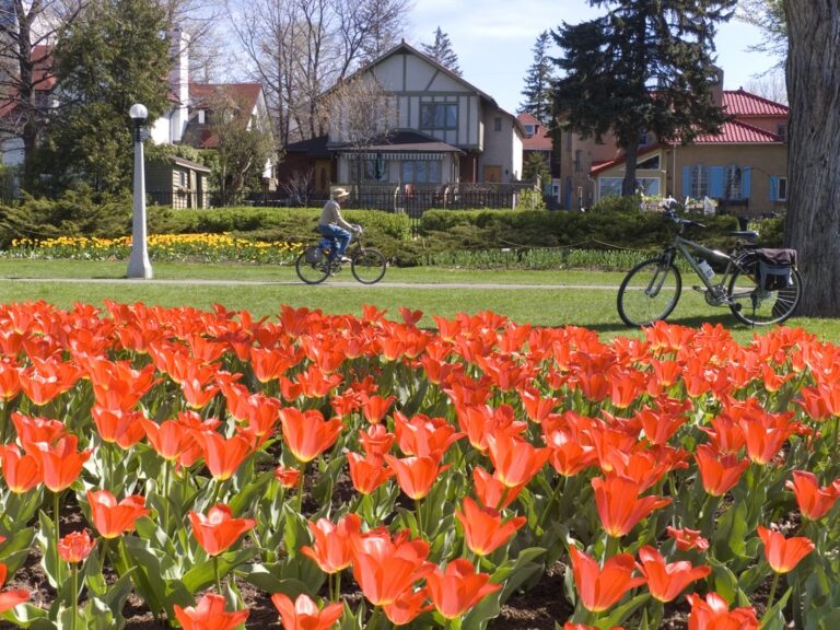 bike riding, one of the cheap things to do in Ottawa